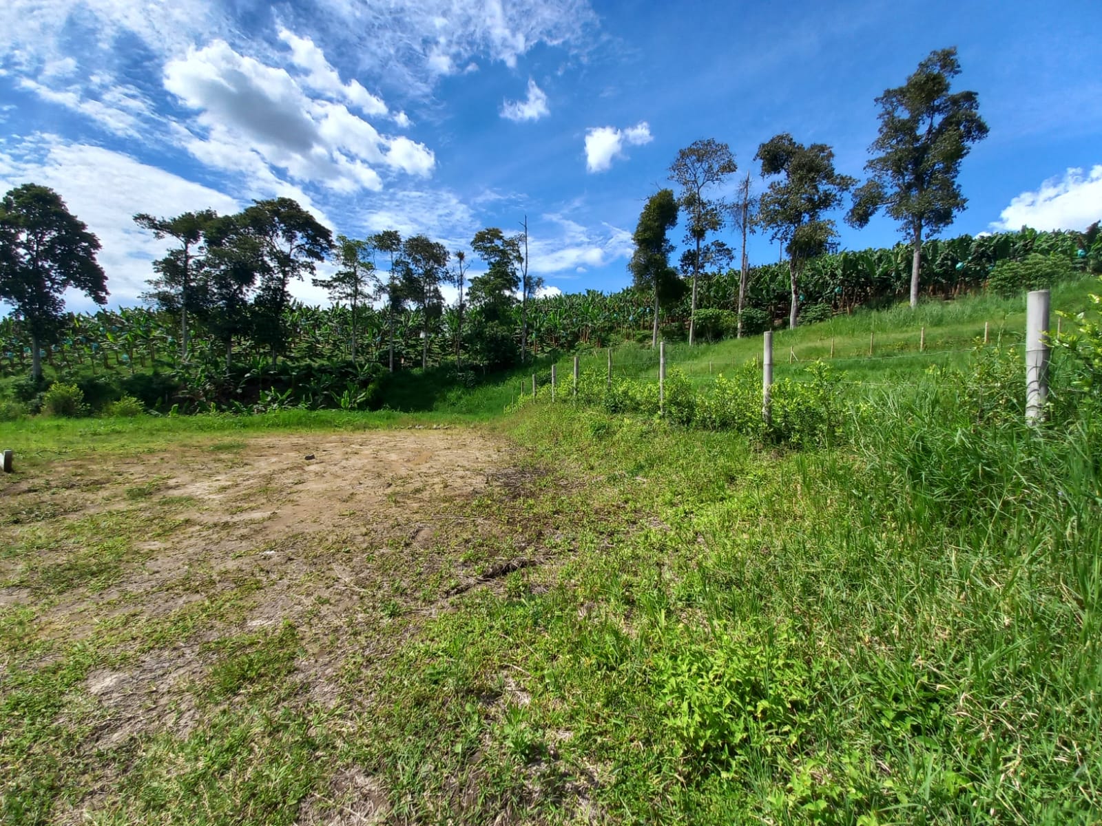 Foto de Lote / terreno en Venta en Vereda altamira, Pereira - 13 - 279067754