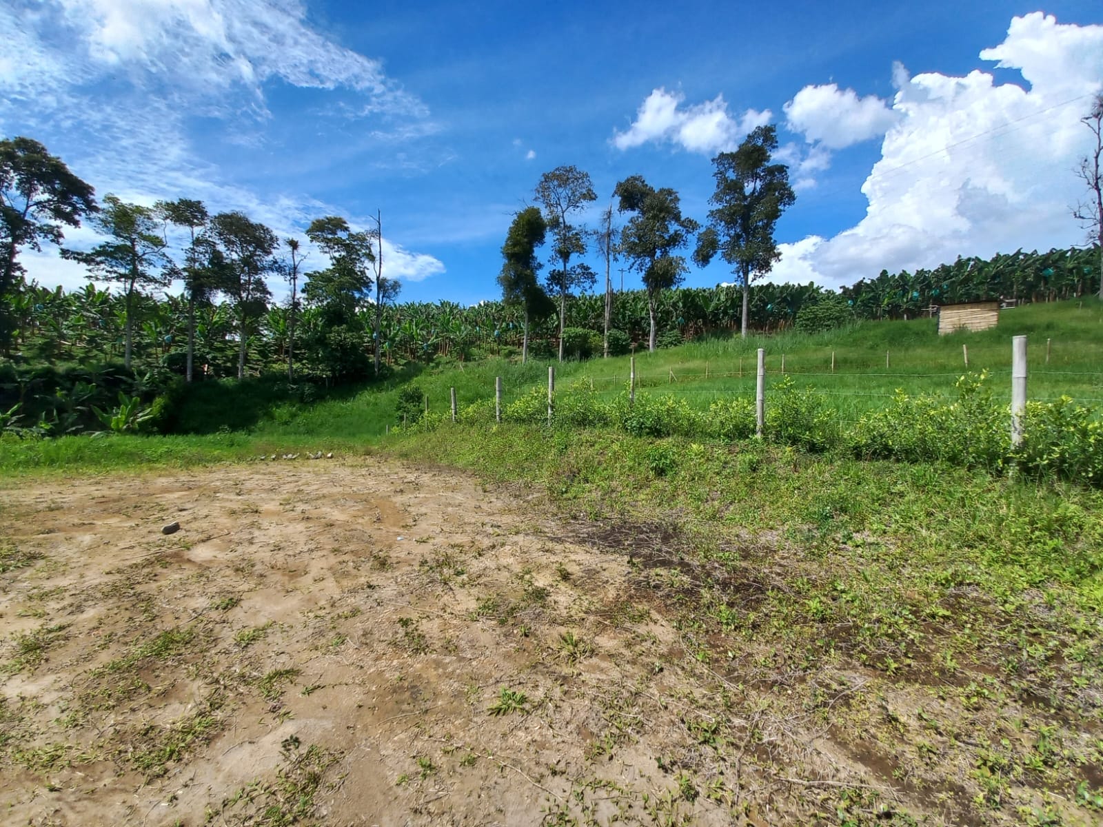 Foto de Lote / terreno para Venta en Vereda altamira, Pereira - 279067754