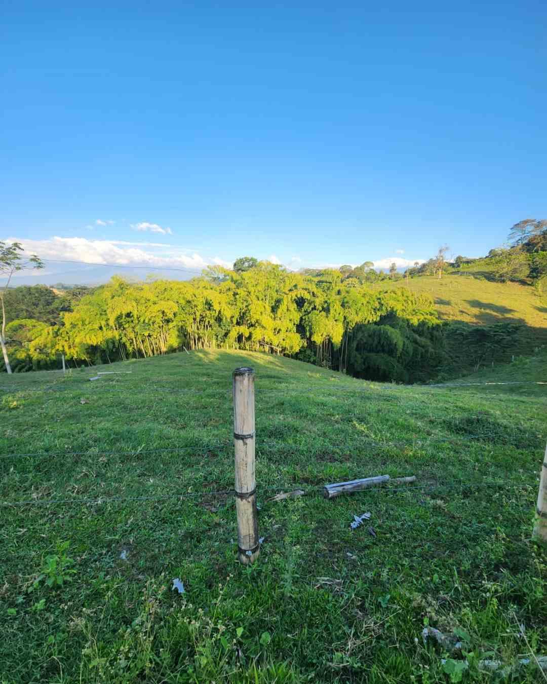 Foto de Finca en Venta en Filandia, Filandia - 21 - 279066535