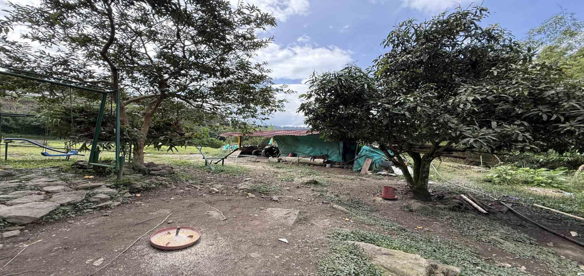 Foto de Finca en Venta en Agua azul, Dosquebradas - 33 - 279063271