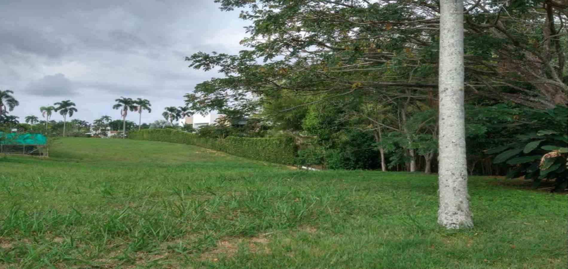 Foto de Lote / terreno en Venta en Cerritos, Pereira - 4 - 279056332