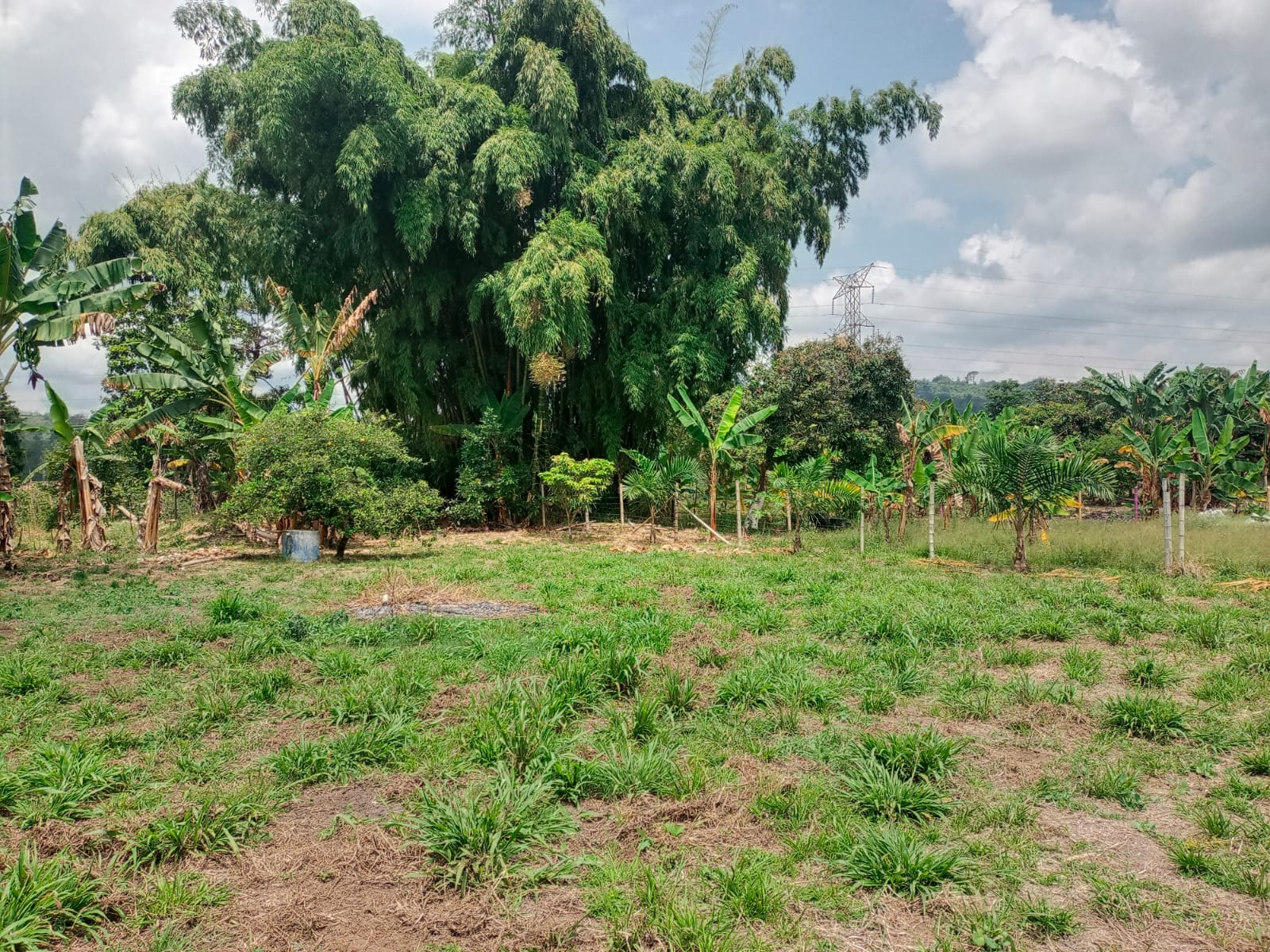Foto de Lote / terreno en Venta en Santa rosa de cabal, Santa rosa de cabal - 6 - 279059203