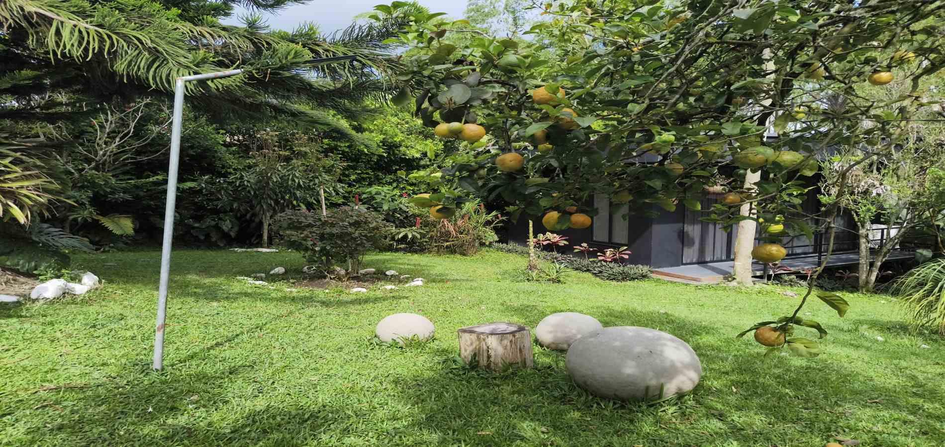 Foto de Edificio de apartamentos en Venta en El caimo, Armenia  - 17 - 279068108