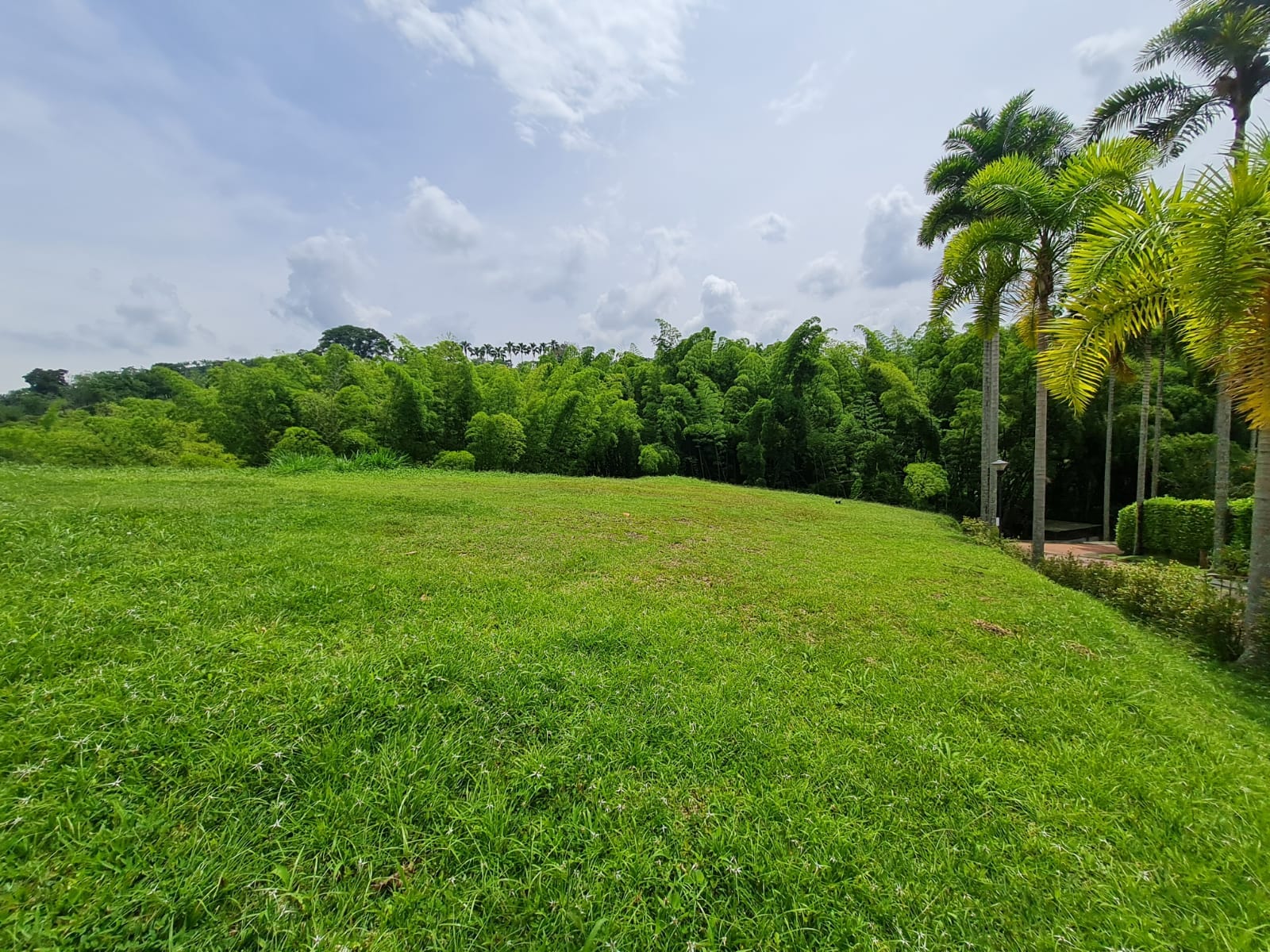 Foto de Lote / terreno para Venta en Vereda santagueda, Palestina - 279056379