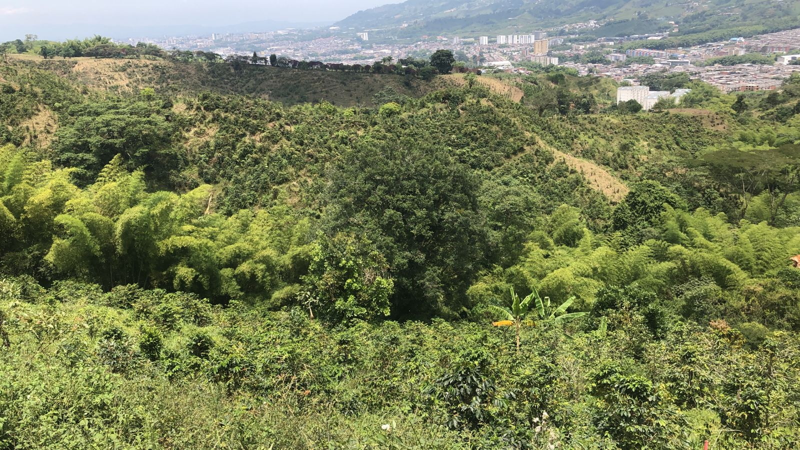 Foto de Lote / terreno en Venta en Dosquebradas, Dosquebradas - 11 - 279053269