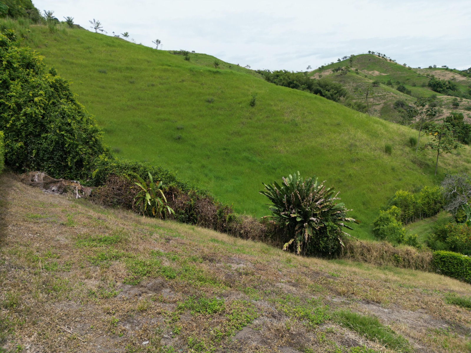 Foto de Lote / terreno en Venta en Vereda santagueda, Palestina - 1 - 279063662