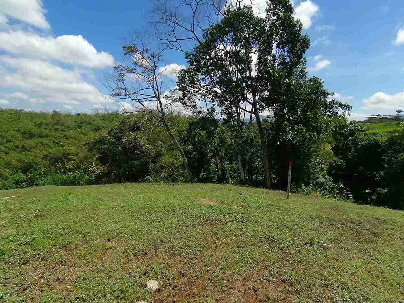 Foto de Lote / terreno en Venta en Combia, Pereira - 4 - 279060927