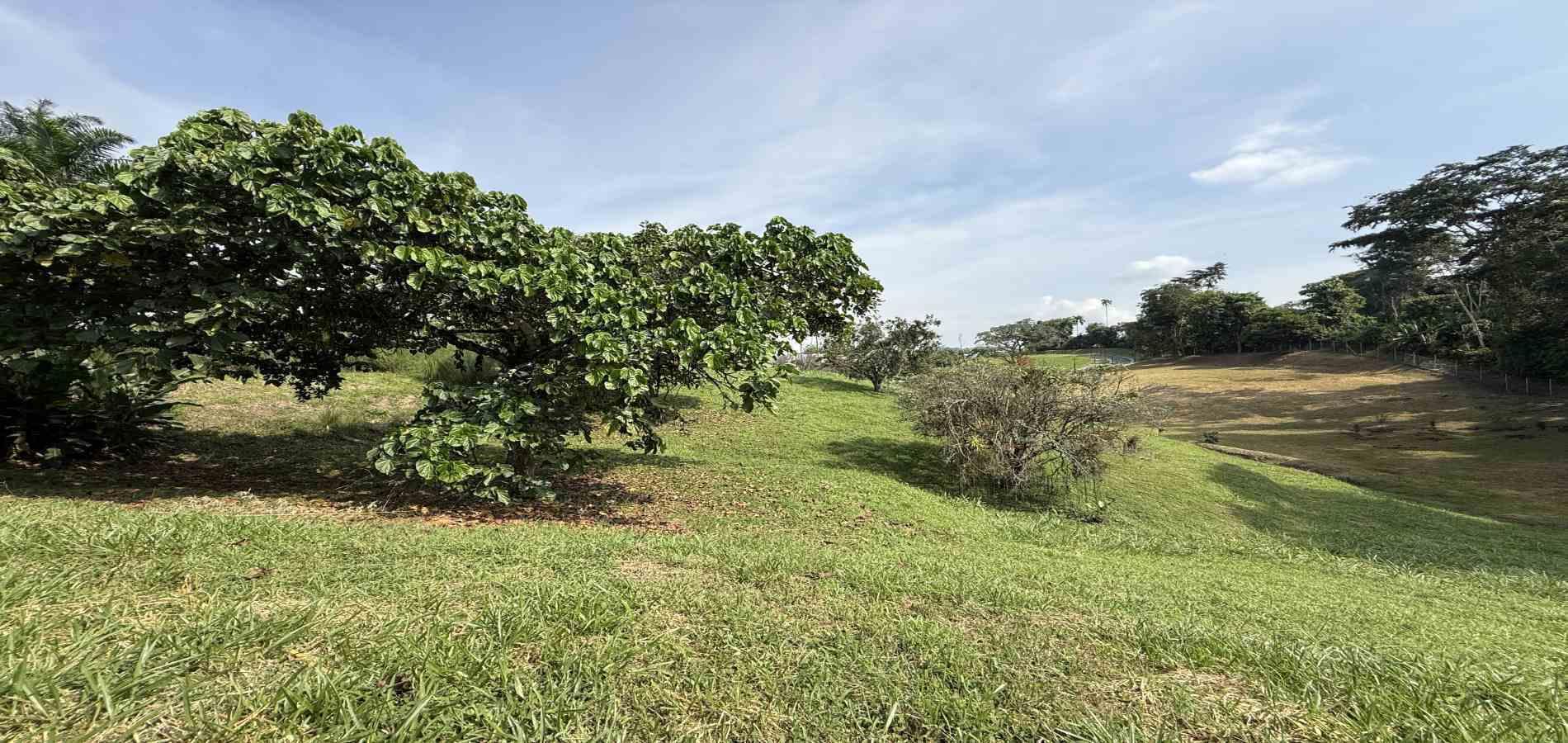 Foto de Lote / terreno en Venta en Cerritos, Pereira - 9 - 279062245