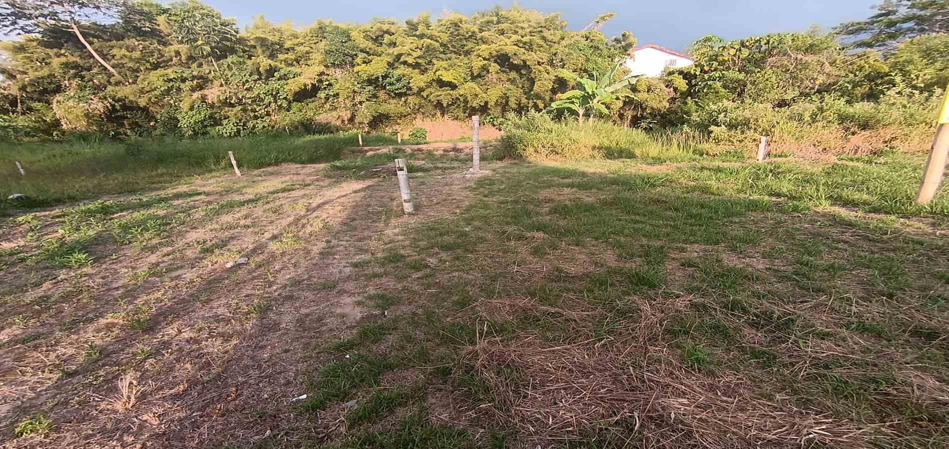 Foto de Lote / terreno en Venta en UrbanizaciÓn santana, Armenia  - 29 - 279059323