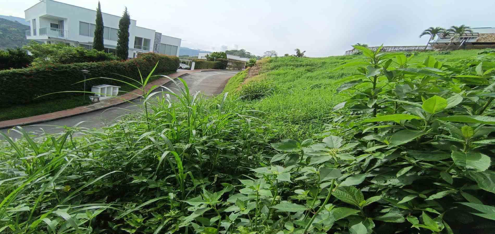 Foto de Lote / terreno en Venta en San bernardo del viento , Manizales - 23 - 279068029