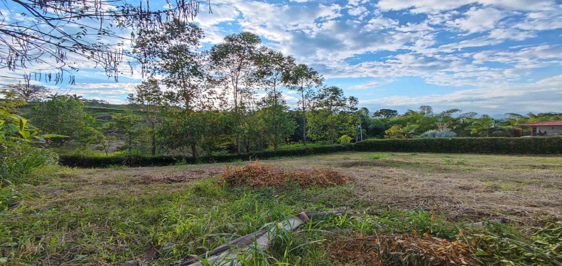 Foto de Lote / terreno para Venta en Palermo, Neira - 279059167
