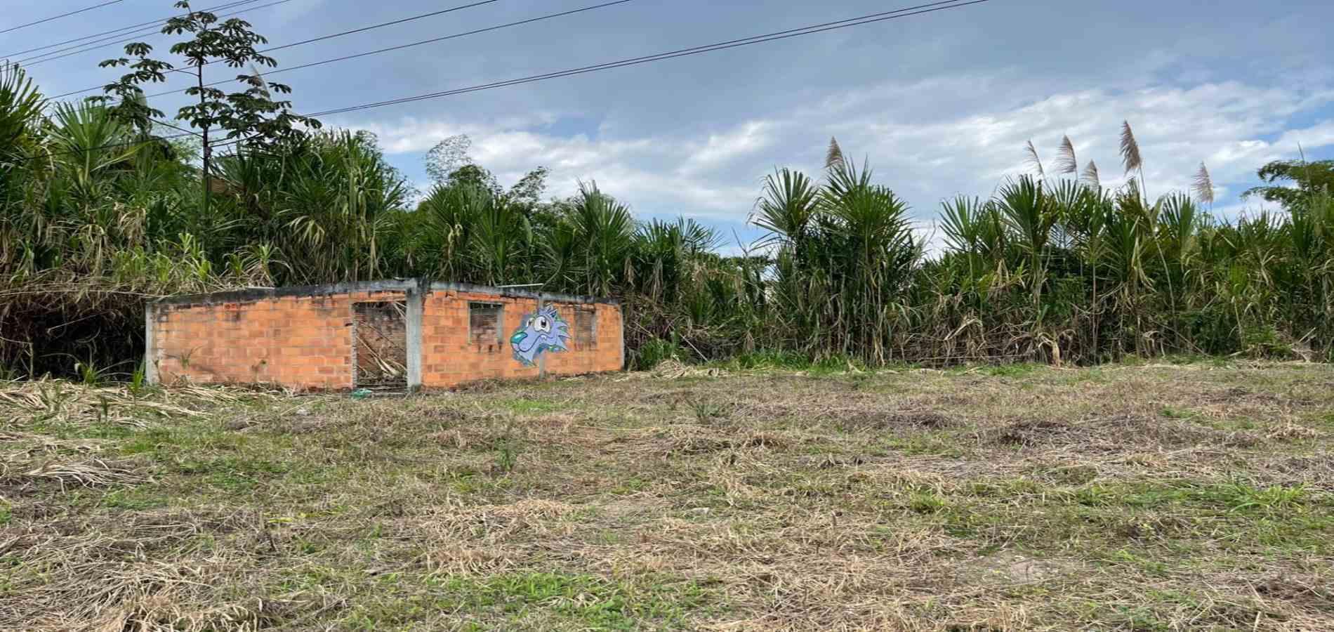 Foto de Lote / terreno en Venta en Av. la romelia el pollo, Dosquebradas - 6 - 279060887