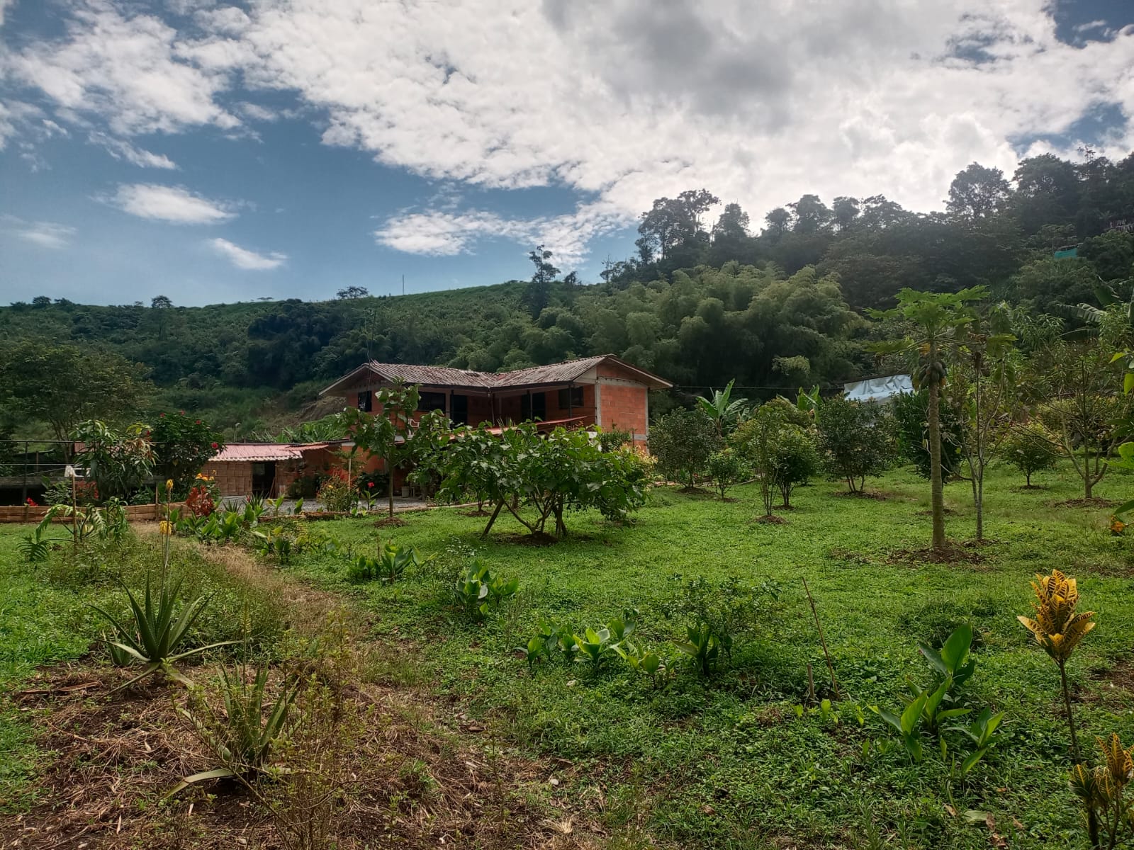Foto de Finca en Venta en Centro, Santa rosa de cabal - 2 - 279052730