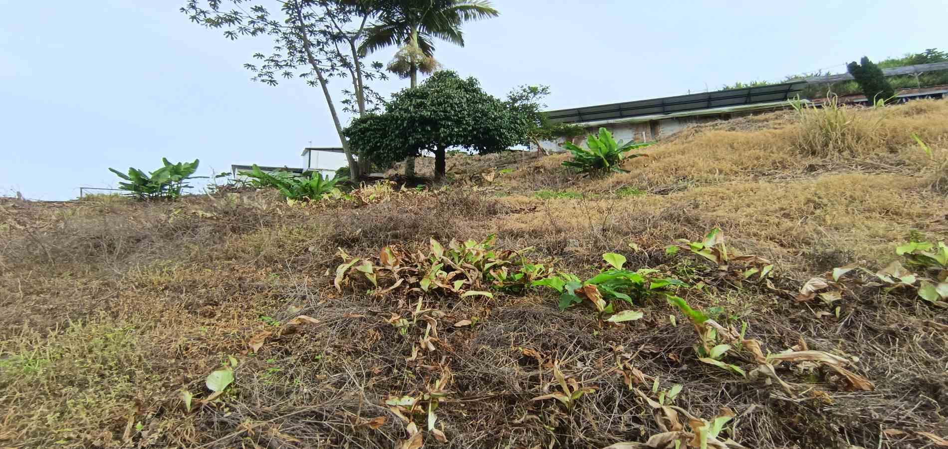 Foto de Lote / terreno en Arriendo en La linda, Manizales - 20 - 279069062