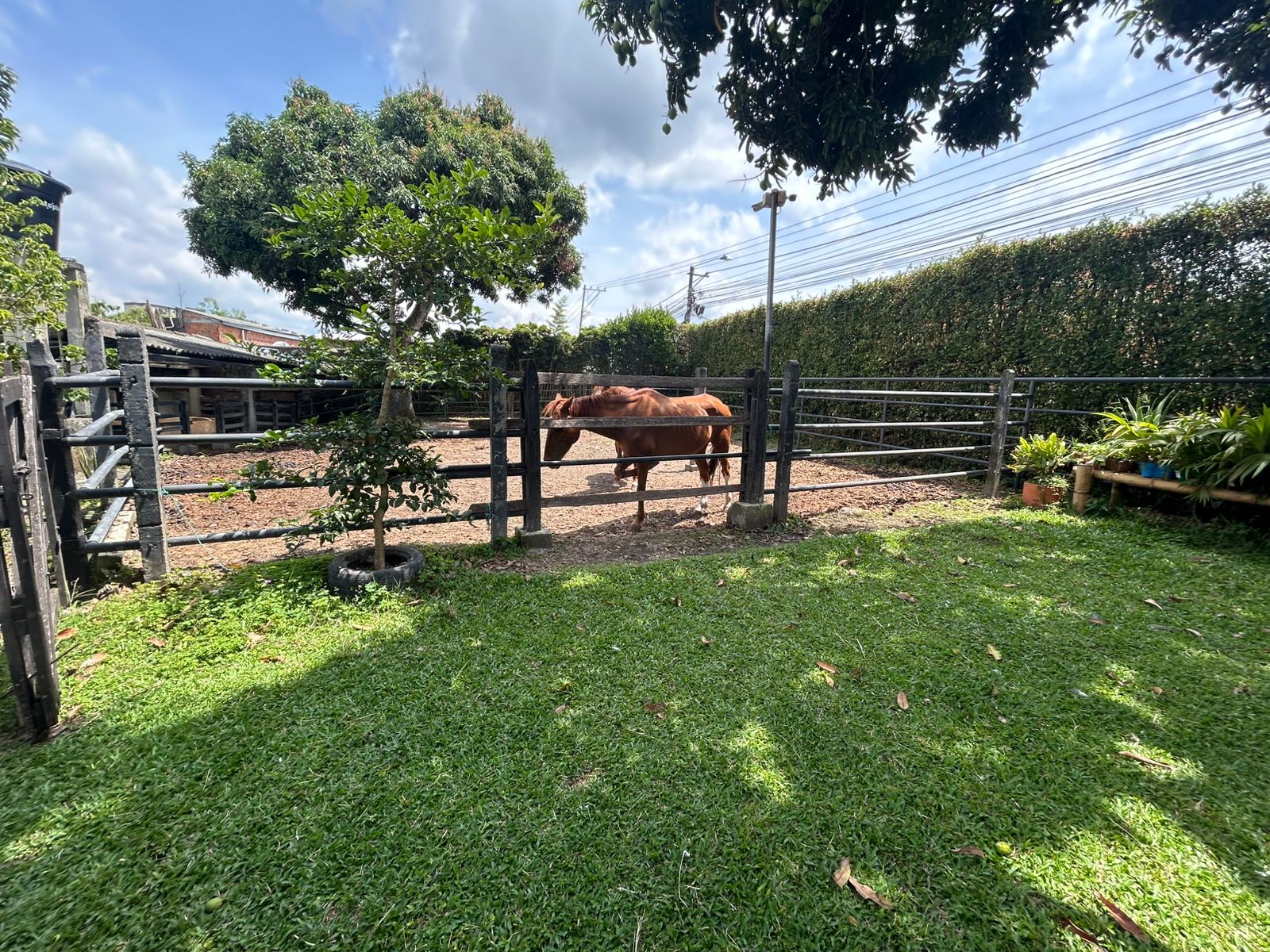 Foto de Finca en Arriendo en Morelia, Pereira - 16 - 279064174