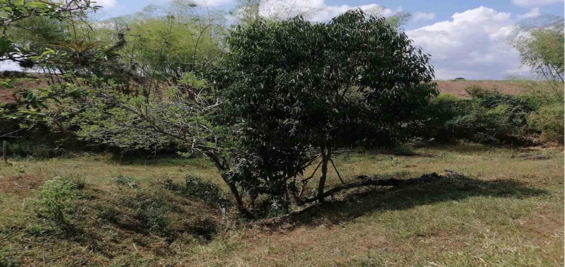 Foto de Lote / terreno en Venta en Cerritos, Pereira - 9 - 2791024501