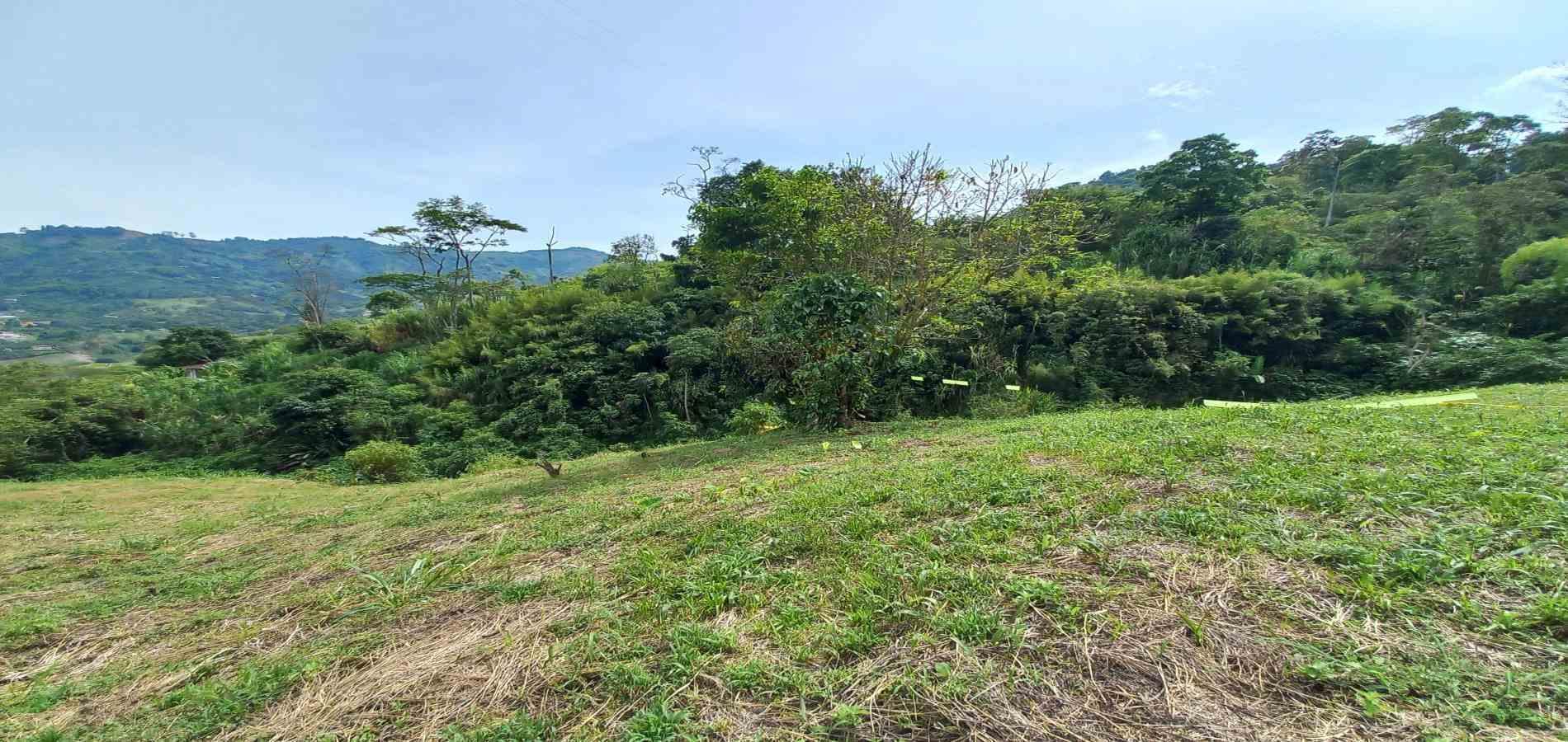 Foto de Lote / terreno en Venta en Combia, Pereira - 6 - 279069589