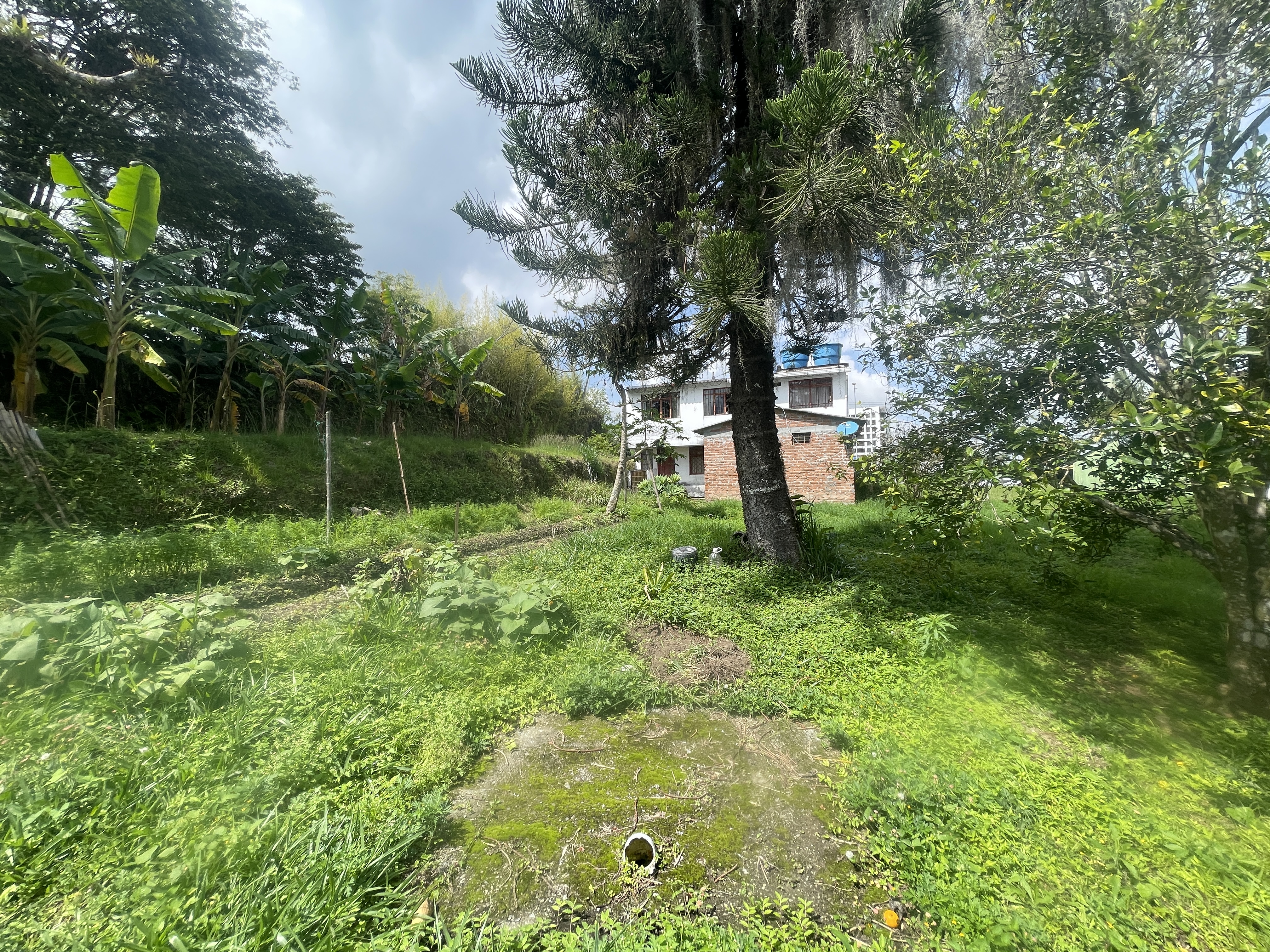 Foto de Lote / terreno en Venta en Av bolivar, Armenia  - 10 - 279065795