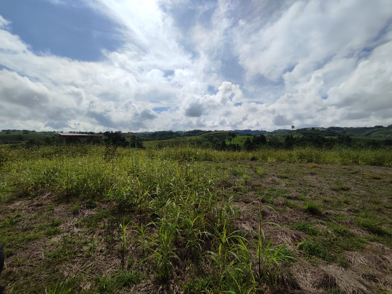 Foto de Lote / terreno en Venta en Centro, Pereira - 6 - 279063218
