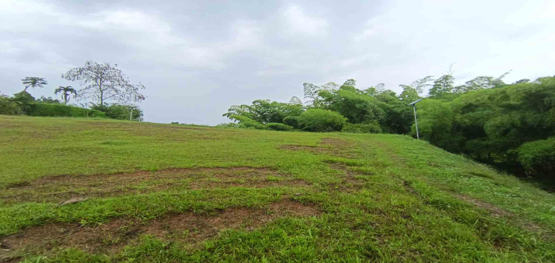 Foto de Lote / terreno en Venta en Vereda la trinidad, Manizales - 19 - 279069692