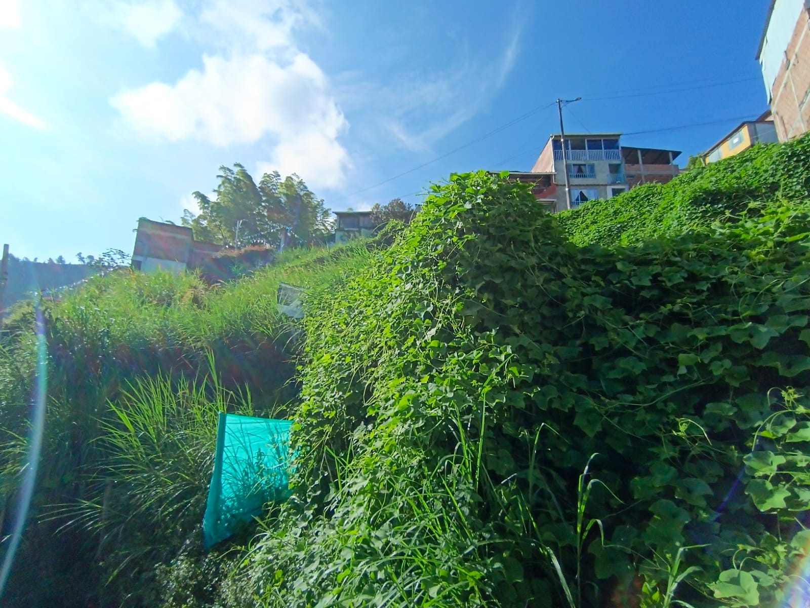 Foto de Lote / terreno en Venta en Bellavista, Villamaria - 8 - 279067096