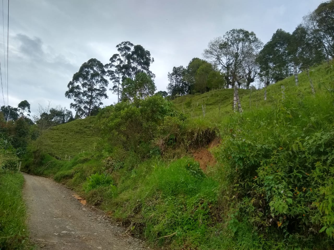 Foto de Finca en Venta en La florida, Pereira - 2 - 279060579