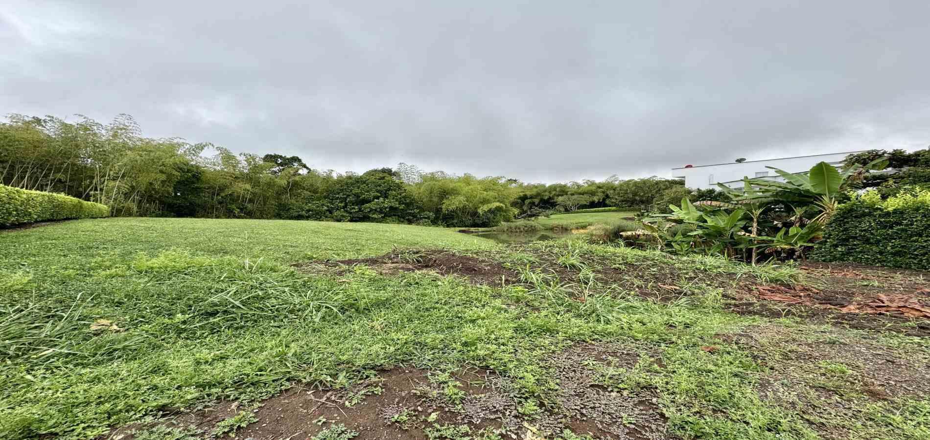 Foto de Lote / terreno para Venta en Cerritos, Pereira - 279059907