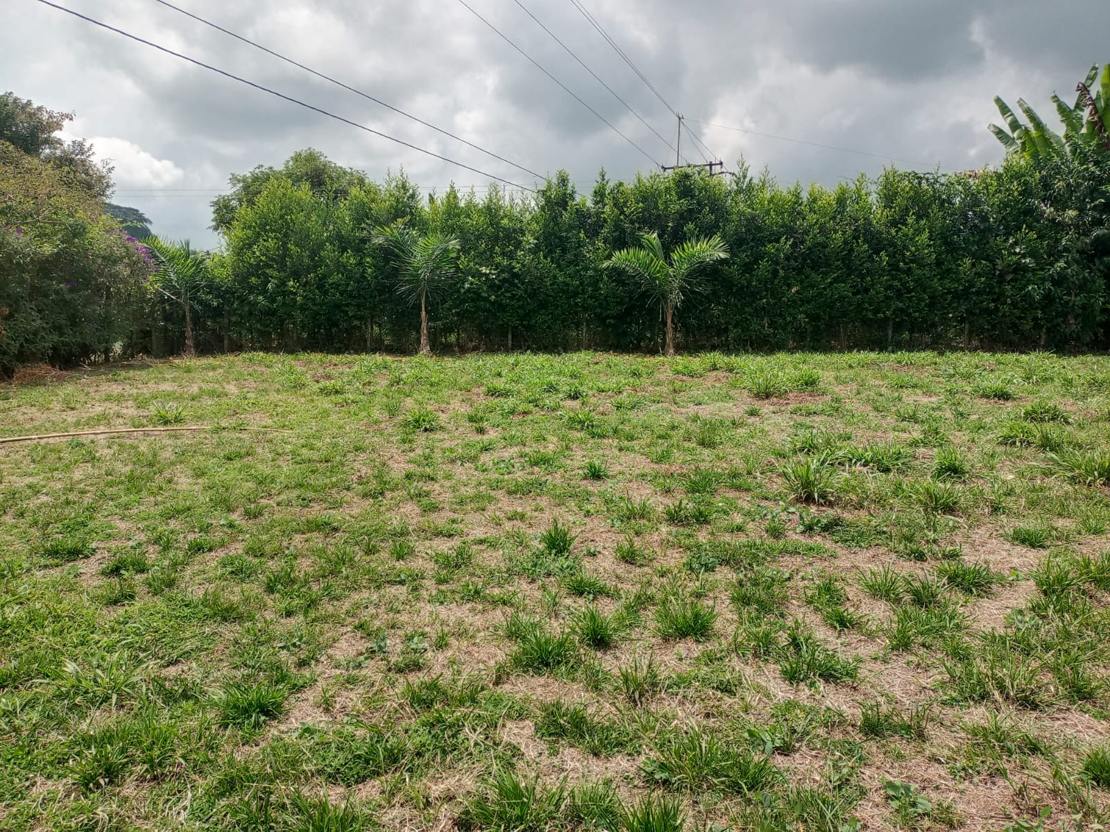 Foto de Lote / terreno en Venta en Santa rosa de cabal, Santa rosa de cabal - 8 - 279059203