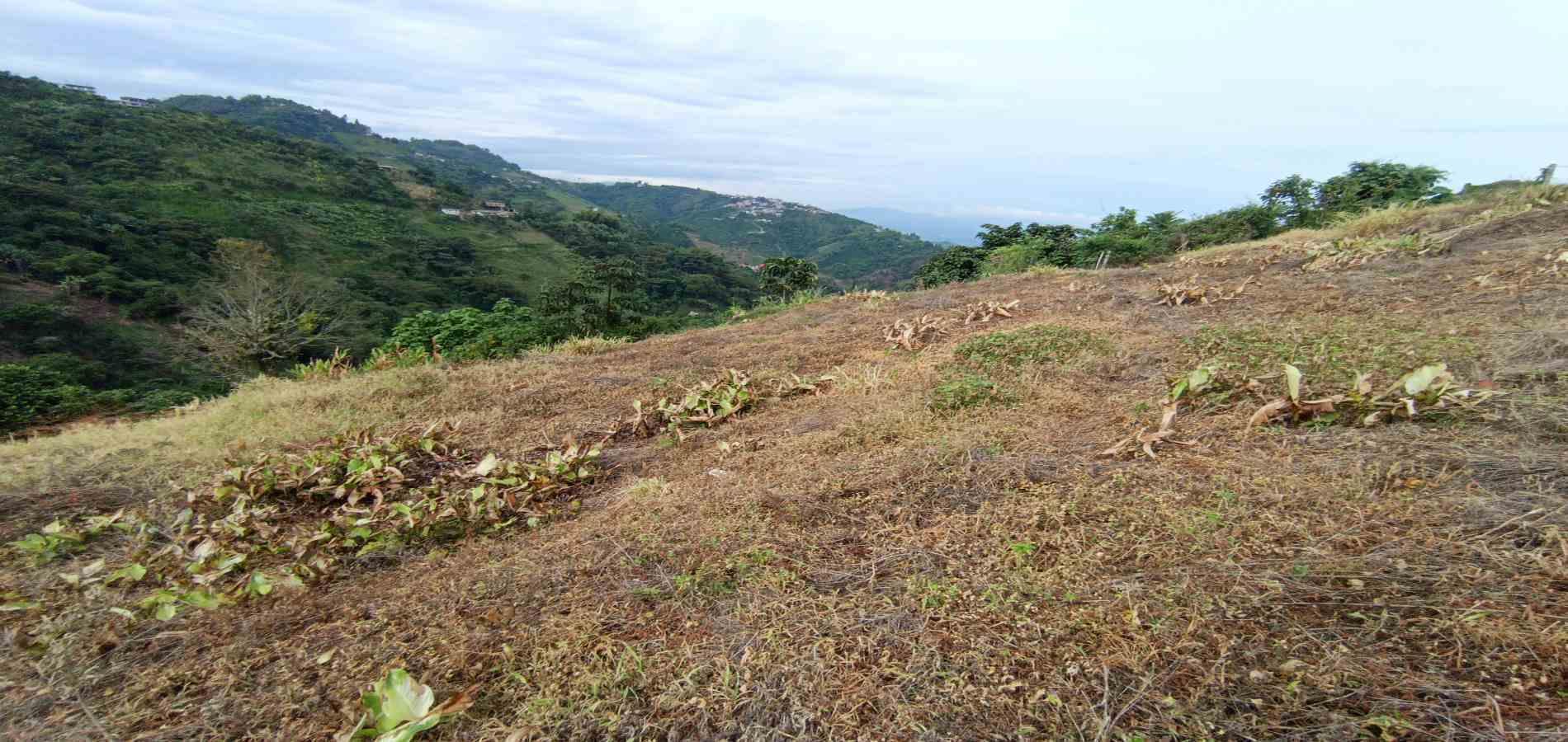 Foto de Lote / terreno en Arriendo en La linda, Manizales - 9 - 279069062