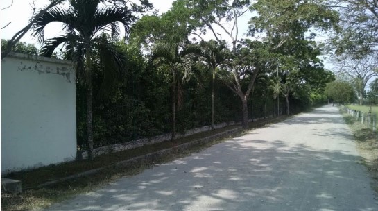 Foto de Lote / terreno en Venta en El triunfo, Mariquita - 2 - 279062684