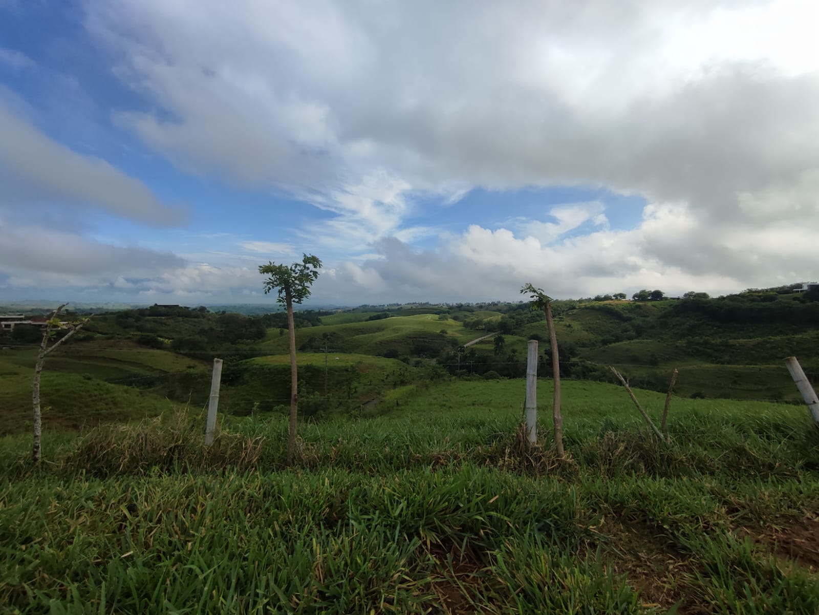 Foto de Lote / terreno para Venta en Cerritos, Pereira - 279063211