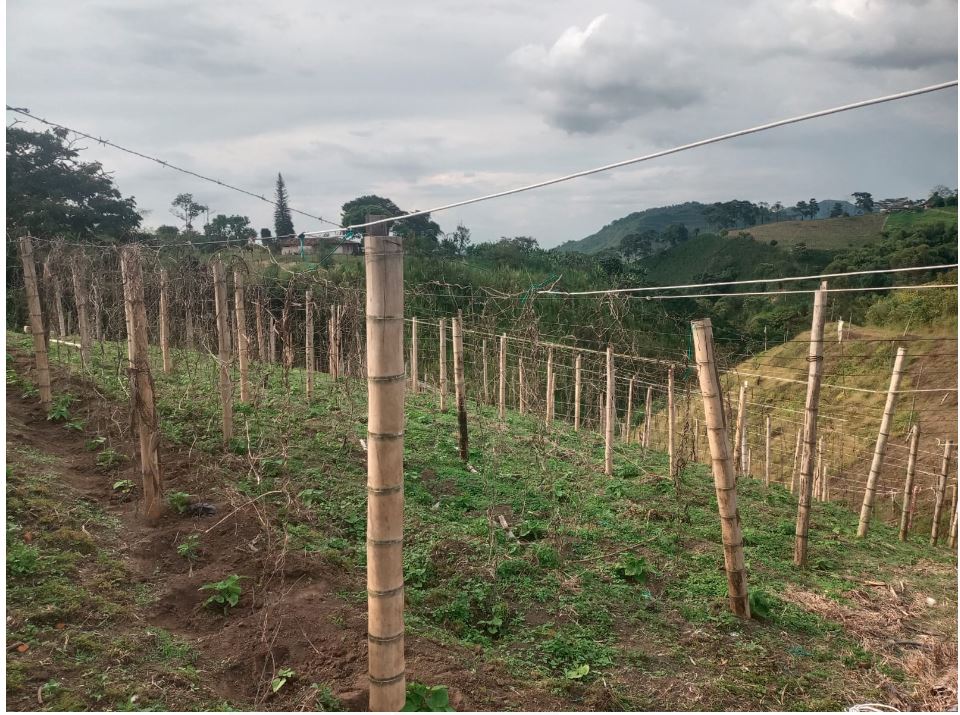 Foto de Lote / terreno en Venta en Santa rosa de cabal, Santa rosa de cabal - 9 - 279053604