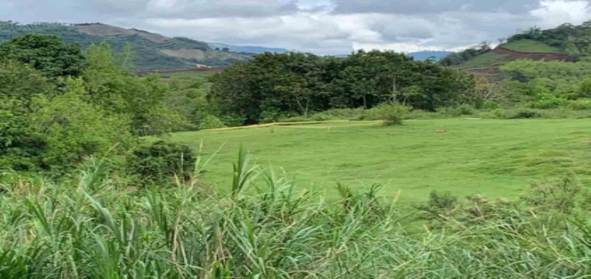 Foto de Lote / terreno en Venta en La plata, Palestina - 5 - 279054346