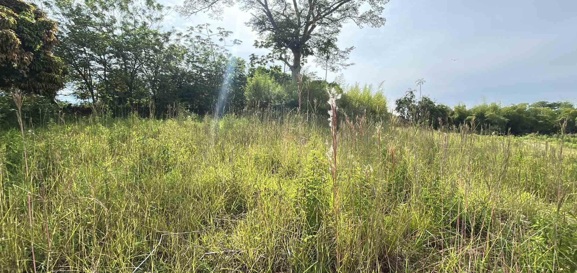 Foto de Lote / terreno en Venta en Cerritos, Pereira - 7 - 279068066