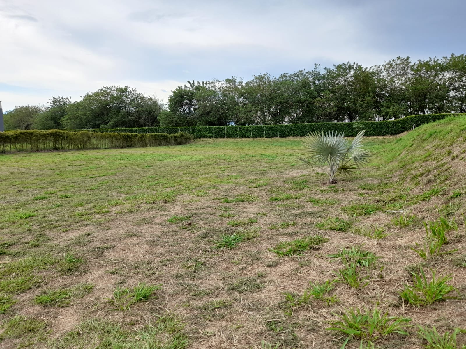 Foto de Lote / terreno para Venta en Cerritos, Pereira - 279053636