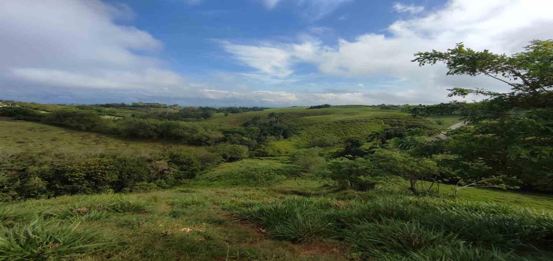 Foto de Lote / terreno en Venta en Cerritos, Pereira - 9 - 279063190