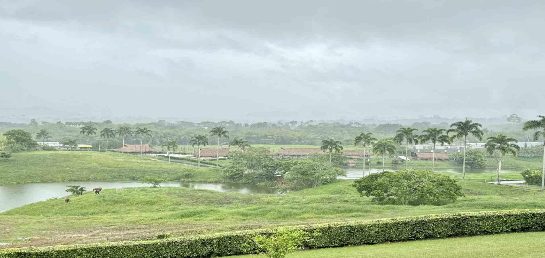 Foto de Lote / terreno en Venta en Cerritos, Pereira - 8 - 279059921