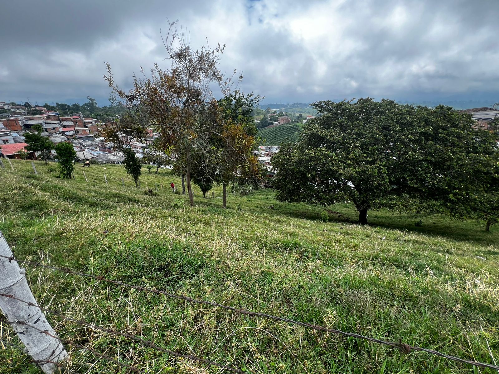Foto de Lote / terreno en Venta en Altagracia, Pereira - 6 - 279056515