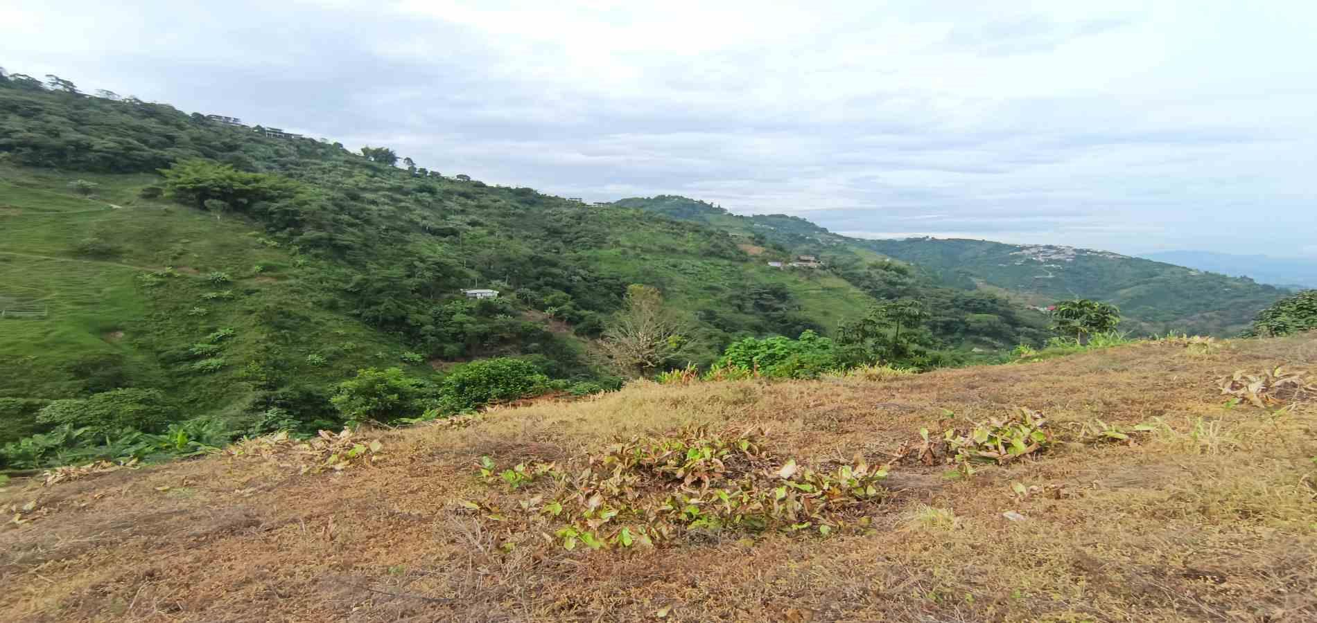 Foto de Lote / terreno en Arriendo en La linda, Manizales - 16 - 279069062