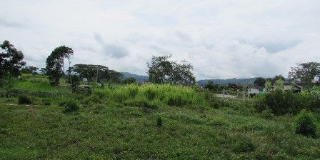 Foto de Lote / terreno en Venta en Vereda santagueda, Palestina - 2 - 27909649
