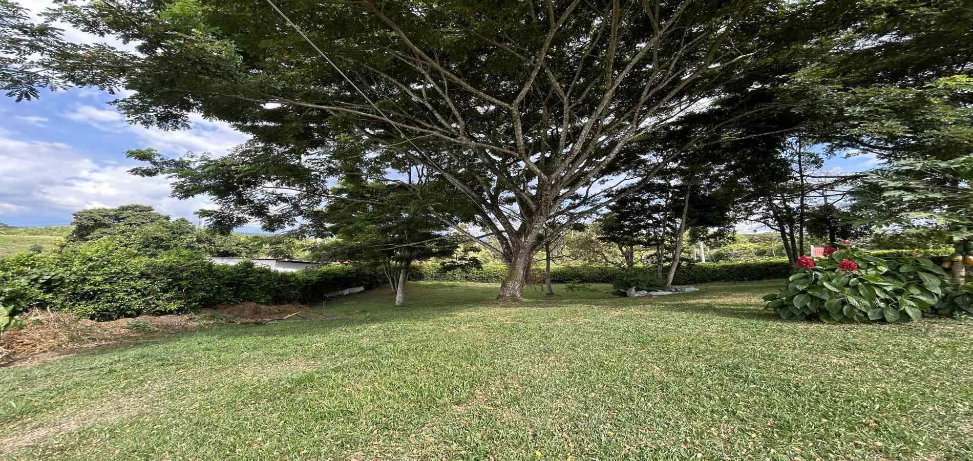 Foto de Casa en Arriendo en Morelia, Pereira - 5 - 279069878