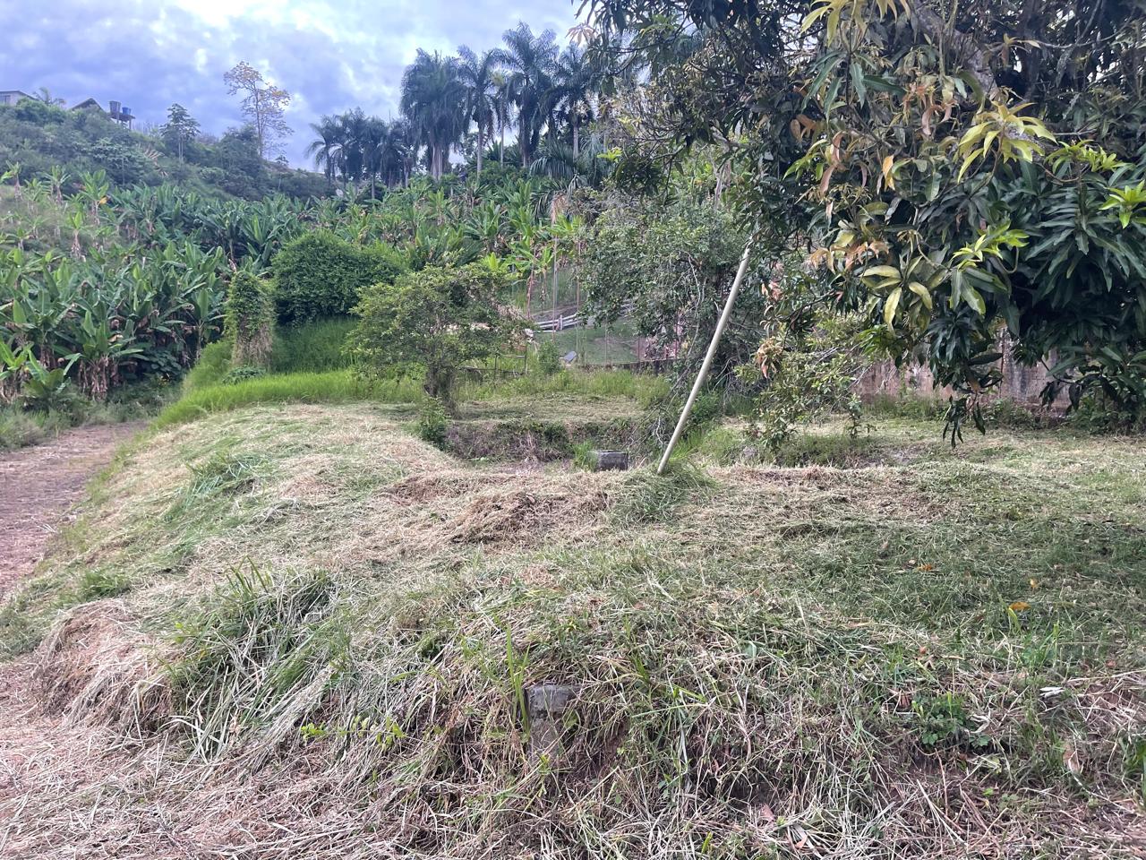 Foto de Finca en Venta en La plata, Palestina - 6 - 279070231