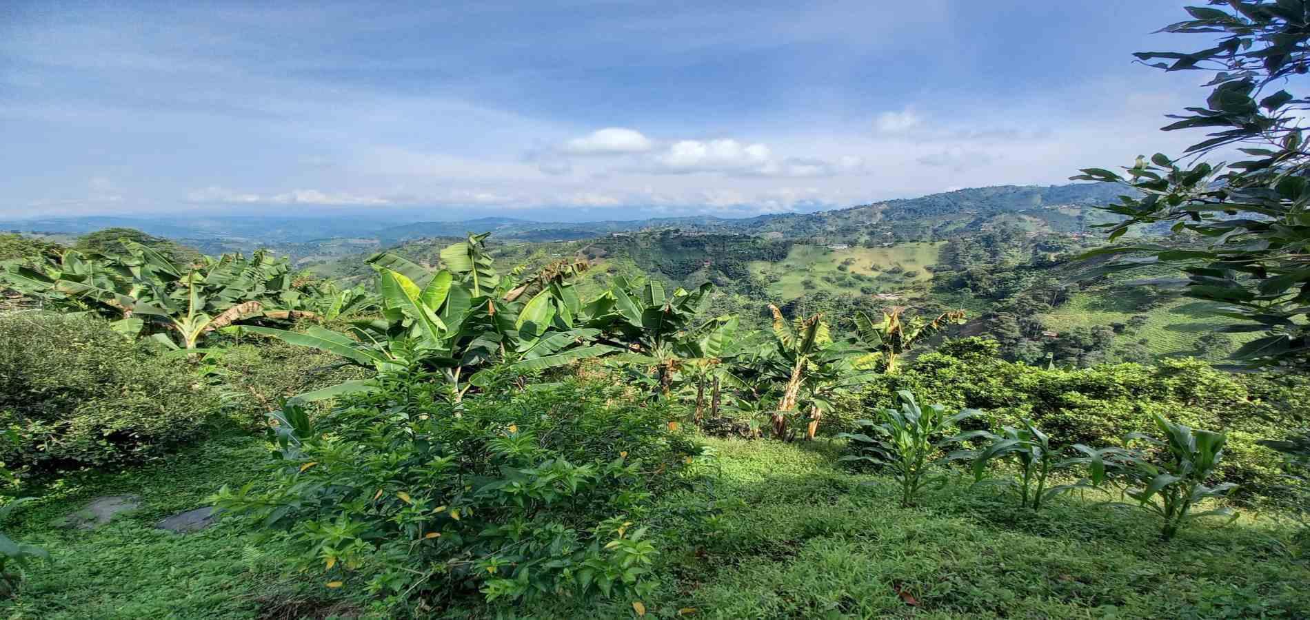 Foto de Finca para Venta en La aurora, Manizales - 279062192