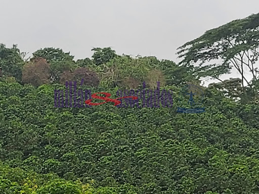 Foto de Finca en Venta en Vereda san luis , Filadelfia - 4 - 279013551