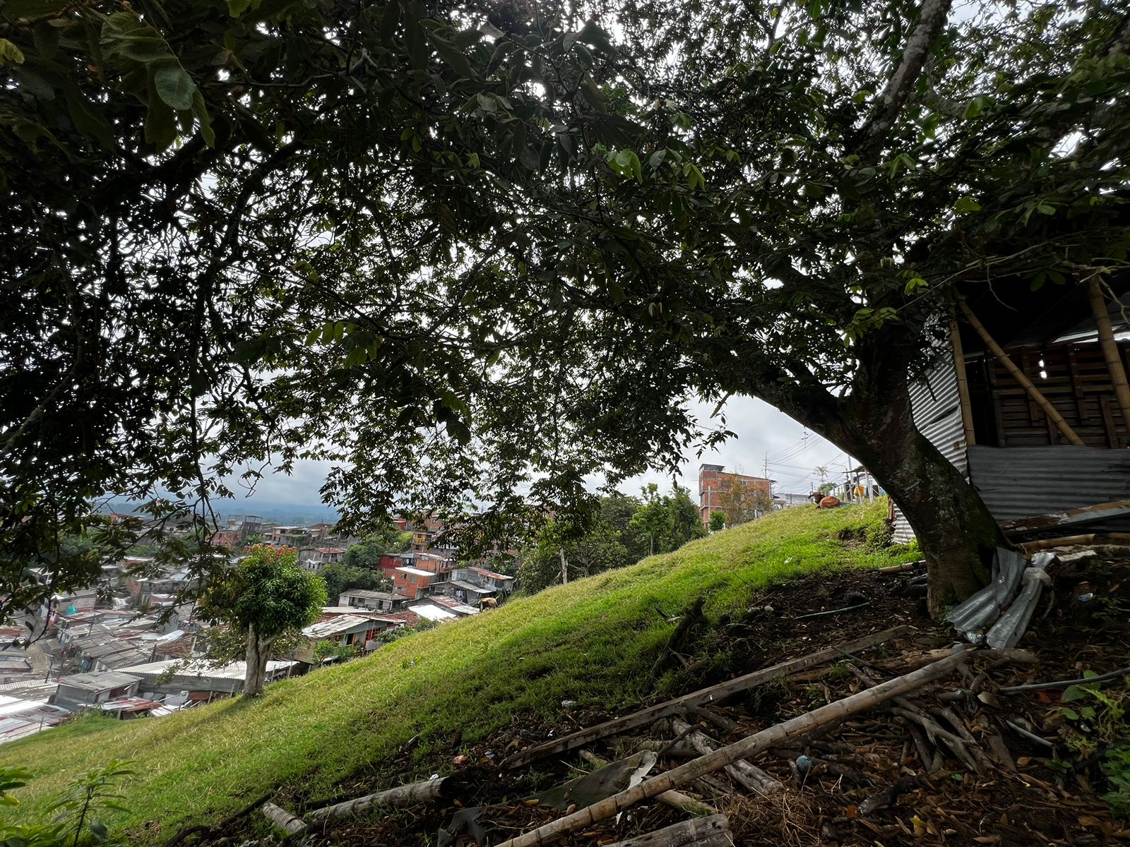 Foto de Lote / terreno en Venta en Altagracia, Pereira - 10 - 279056515