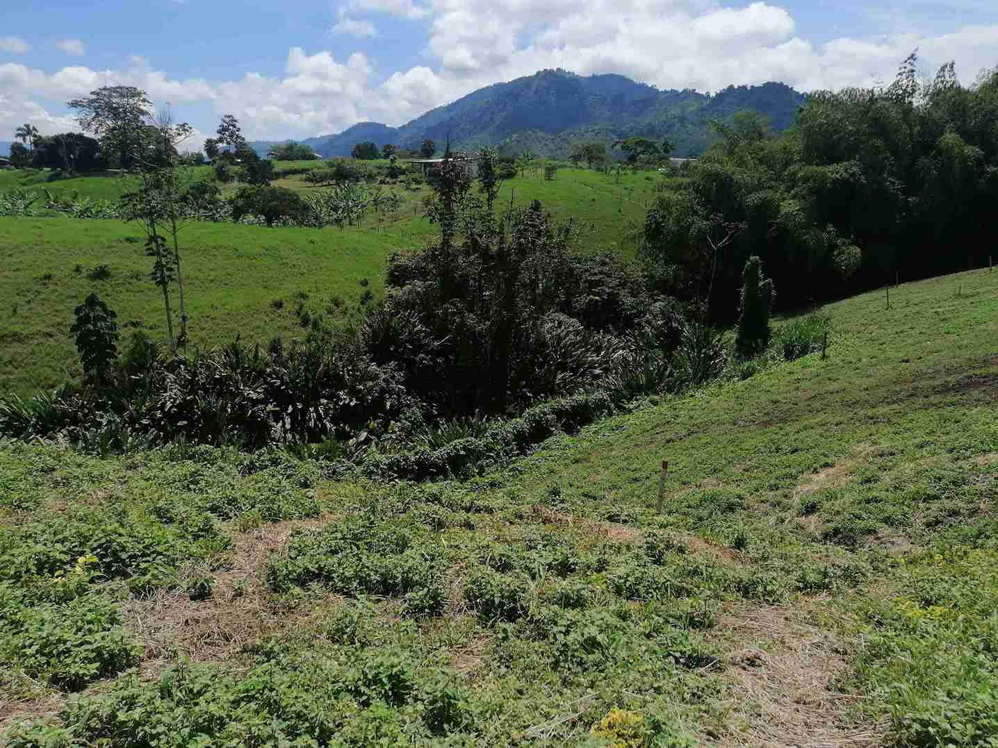 Foto de Lote / terreno en Venta en Combia, Pereira - 2 - 279058096