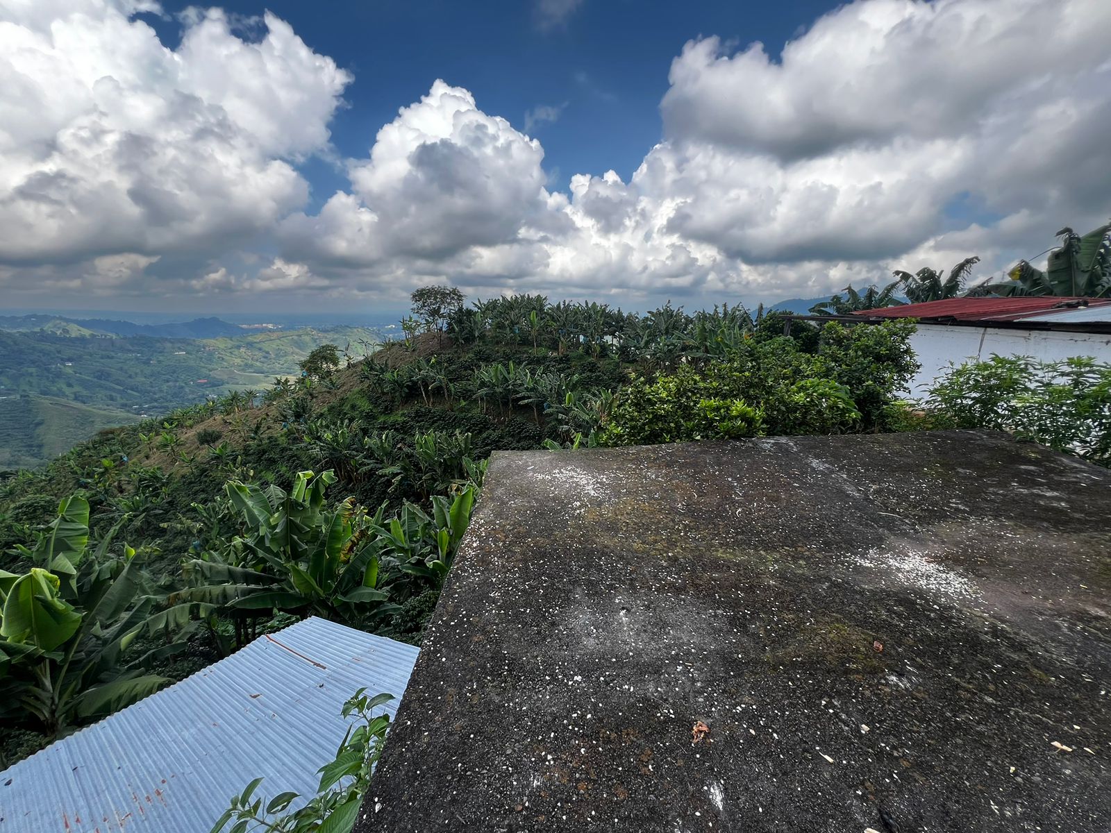 Foto de Finca en Venta en San vicente, Pereira - 15 - 279057869