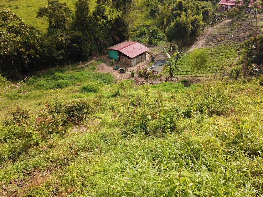 Foto de Lote / terreno en Venta en VillamarÍa, Villamaria - 18 - 279056144