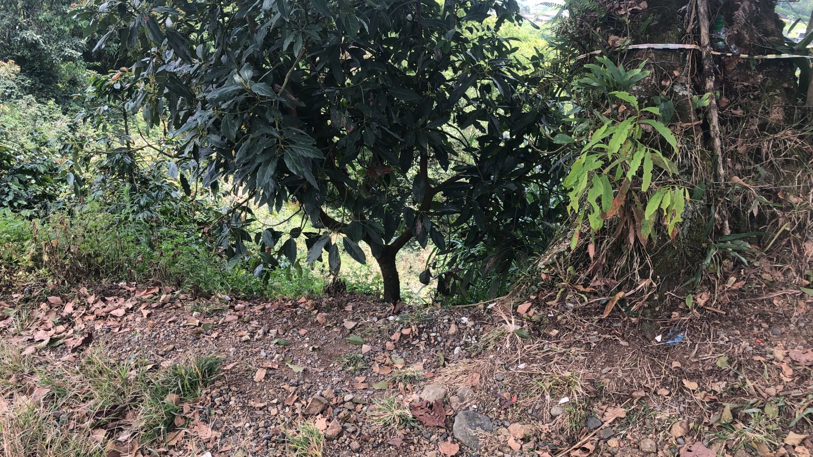 Foto de Lote / terreno en Venta en Dosquebradas, Dosquebradas - 11 - 279053272