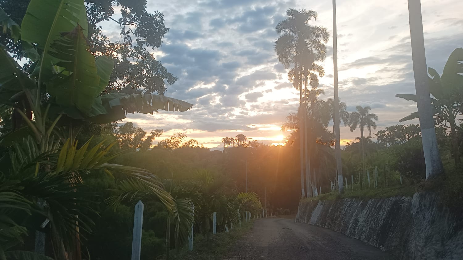 Foto de Lote / terreno para Venta en Via alcala, Pereira - 279064988